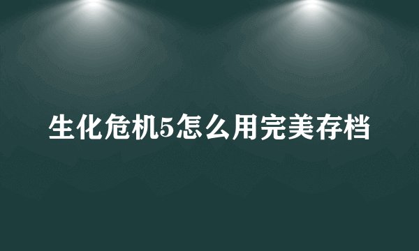 生化危机5怎么用完美存档
