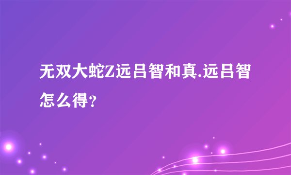 无双大蛇Z远吕智和真.远吕智怎么得？