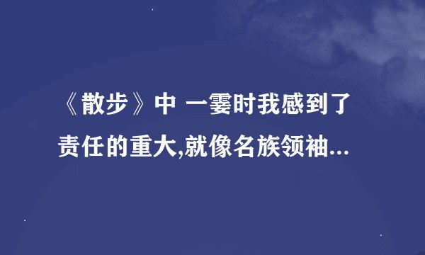 《散步》中 一霎时我感到了责任的重大,就像名族领袖在严重罐头时那样。请理解