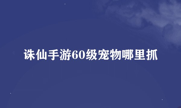 诛仙手游60级宠物哪里抓
