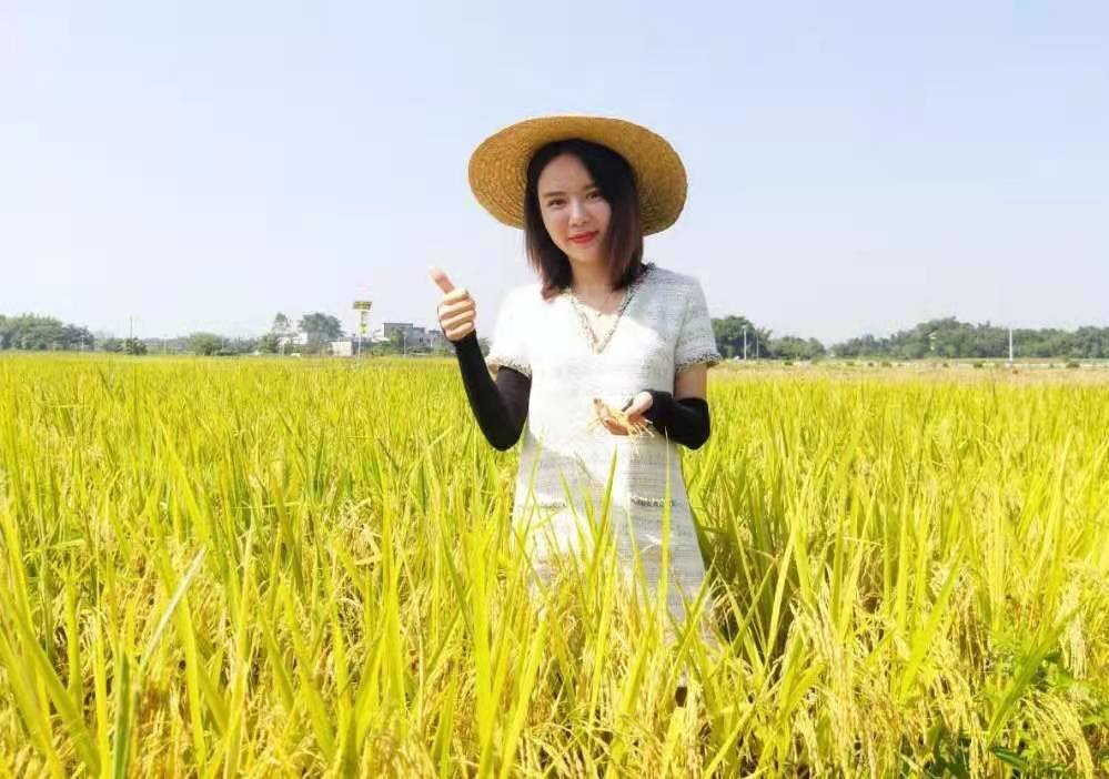 据调查，韩国越来越多青年返乡务农，这是什么原因导致的？