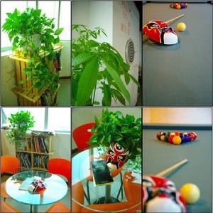 重庆马甲文化传媒有限公司的成功案例