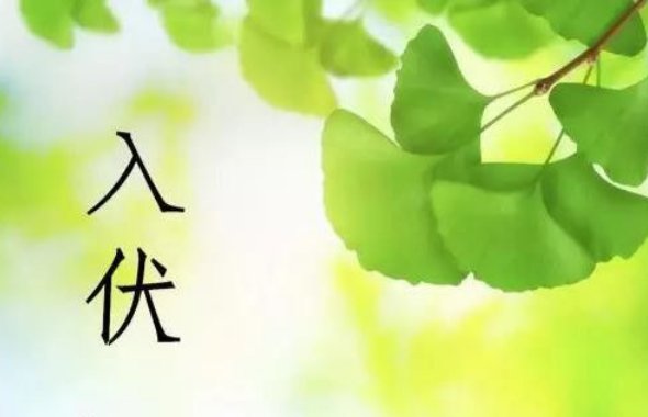 2016年入伏是哪天