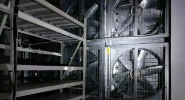 蚌埠一小区疑藏比特币矿机，若属实的话，此行为是否违法违规？