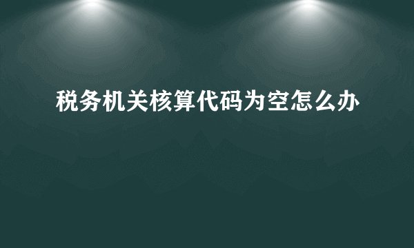 税务机关核算代码为空怎么办