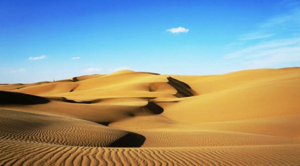 沙漠也找到巴黎的介绍