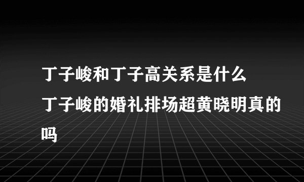 丁子峻和丁子高关系是什么 丁子峻的婚礼排场超黄晓明真的吗