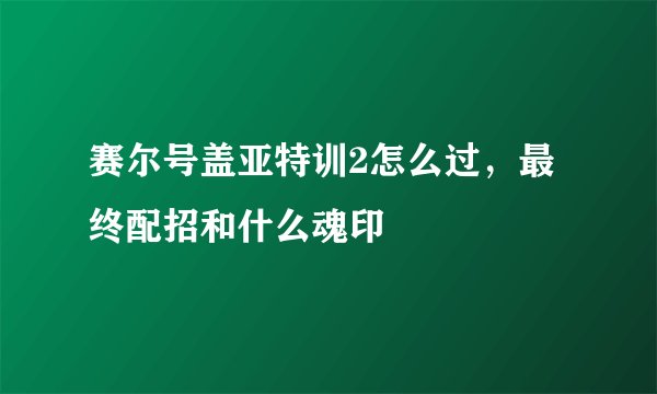 赛尔号盖亚特训2怎么过，最终配招和什么魂印