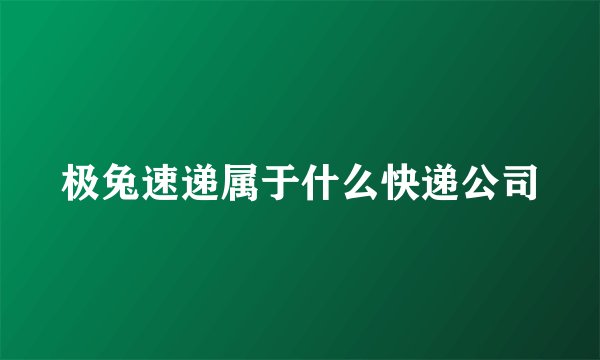 极兔速递属于什么快递公司