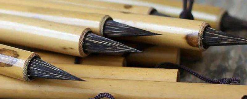 紫毫毛笔是什么毛