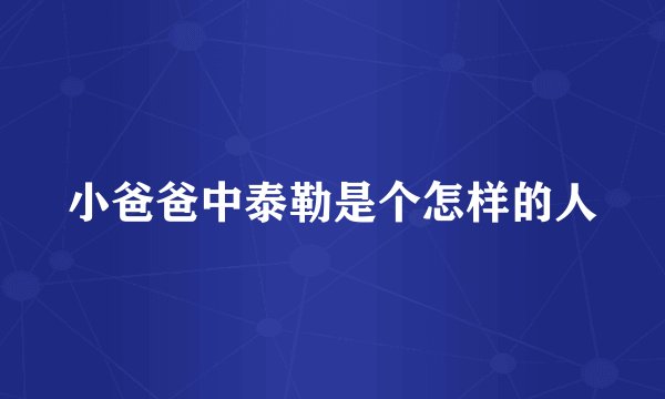 小爸爸中泰勒是个怎样的人