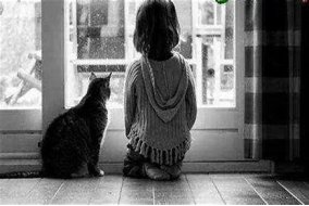 乖戾的意思是什么呢