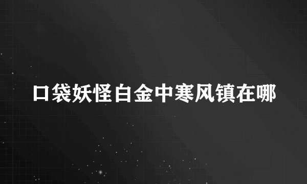 口袋妖怪白金中寒风镇在哪