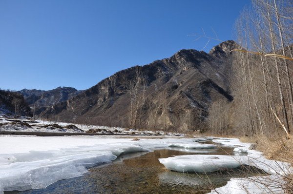 日历里的七九是什么