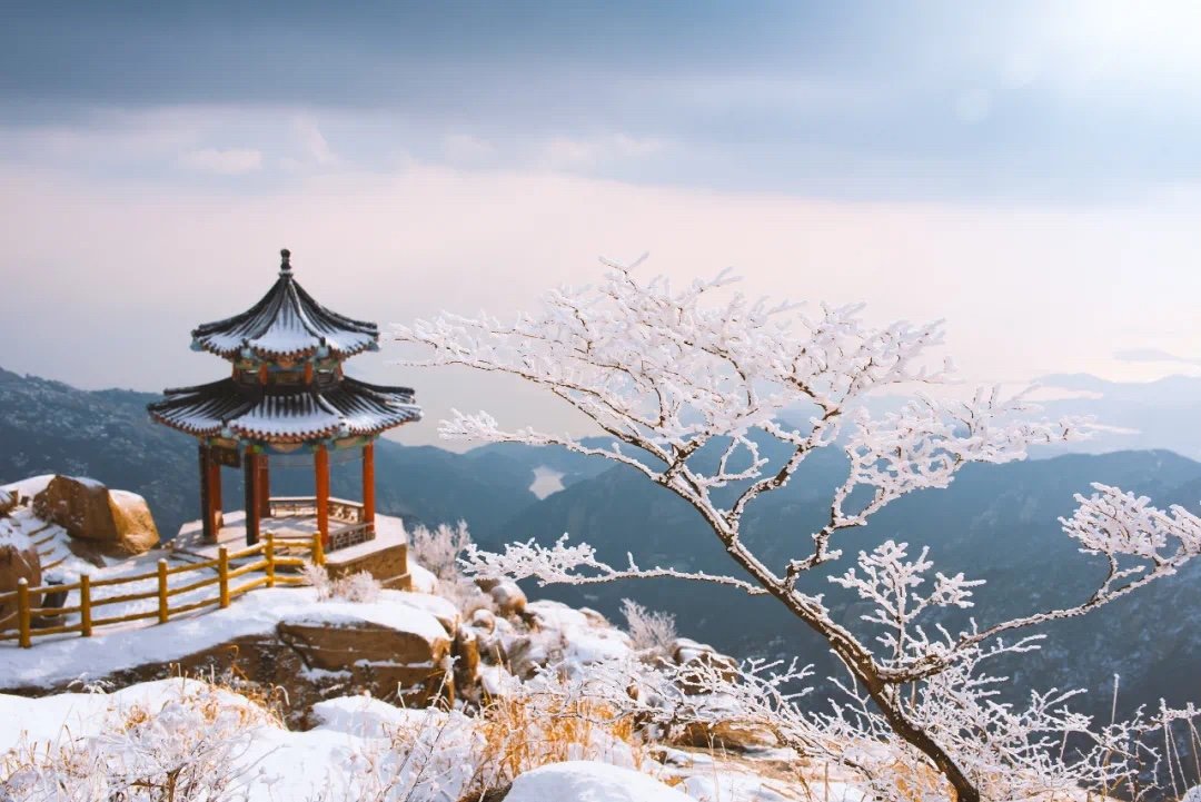 一岁二十四个节气，每年的起点是冬至还是夏至？