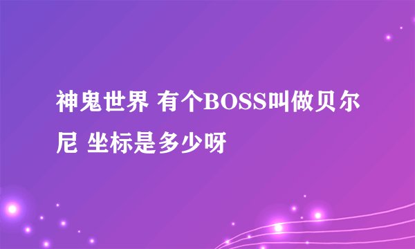 神鬼世界 有个BOSS叫做贝尔尼 坐标是多少呀