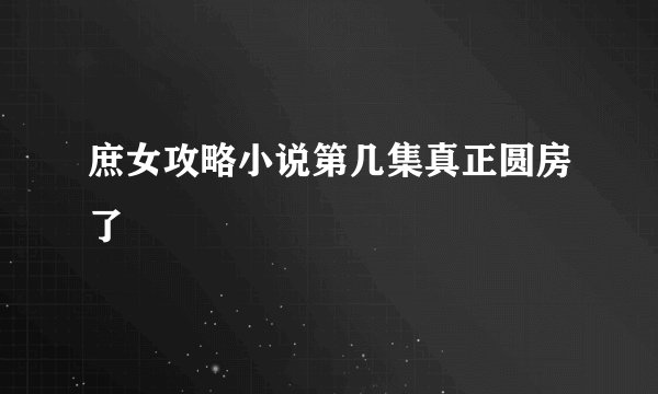 庶女攻略小说第几集真正圆房了