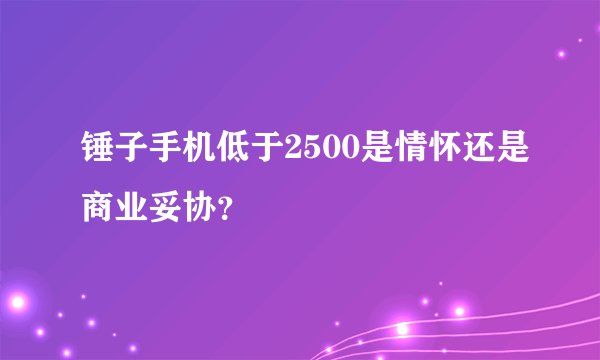锤子手机低于2500是情怀还是商业妥协？