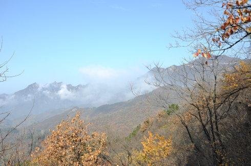 远上寒山石径斜，白云深处有人家。停车坐爱枫林晚，霜叶红于二月花。这首古诗的意思？