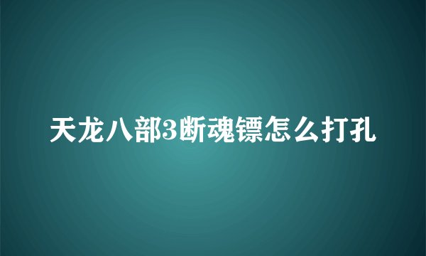 天龙八部3断魂镖怎么打孔