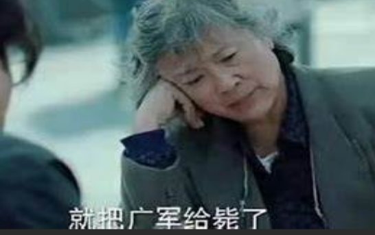 巡回检察组演员表