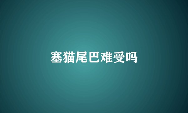 塞猫尾巴难受吗