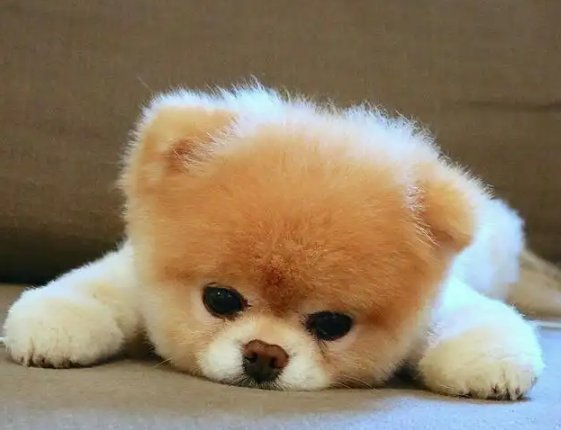 国庆节放假安排来了，休7上7，如何看待这样的放假方式？