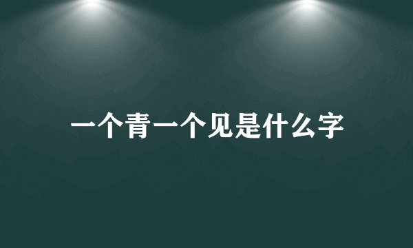 一个青一个见是什么字