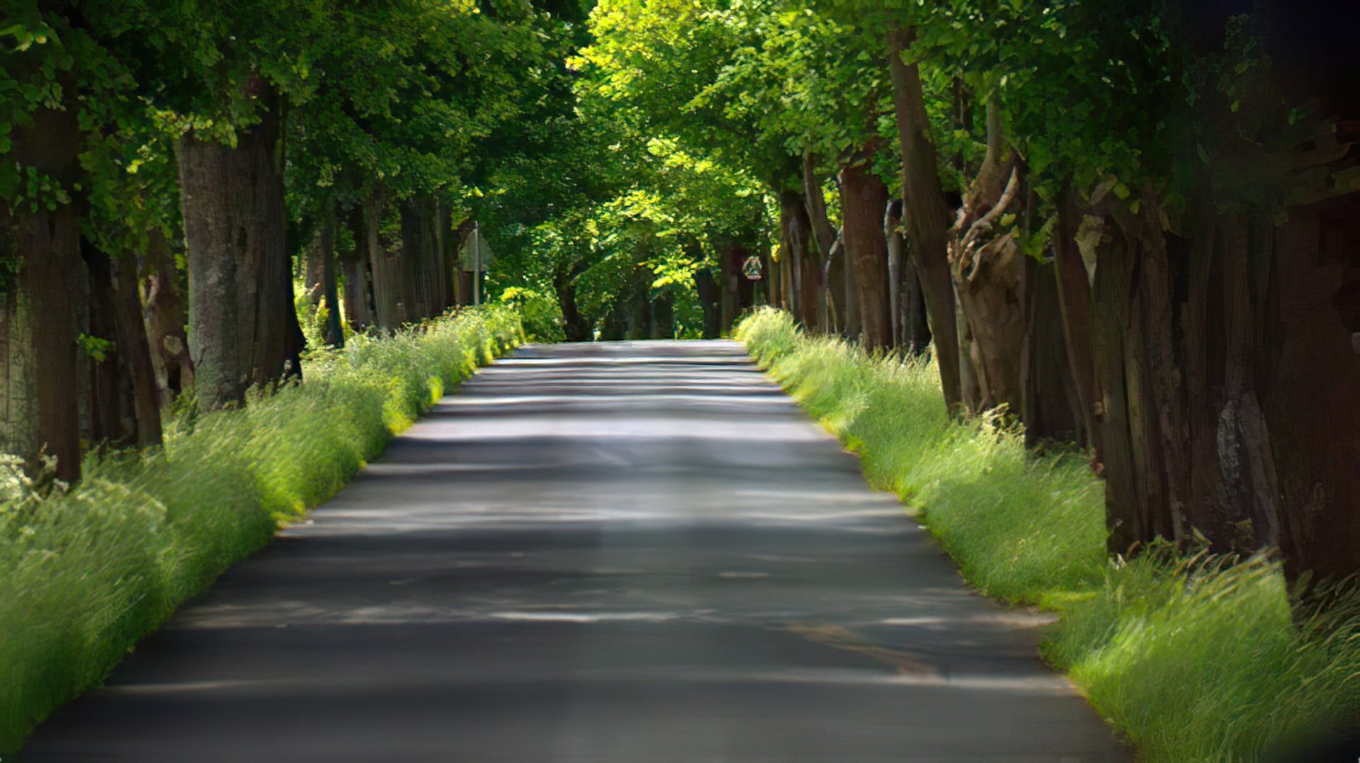 家人把孩子忘车内互相推卸责任,到底是谁把孩子落车内的?