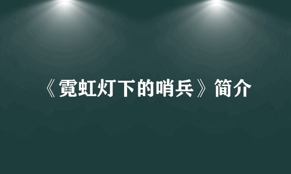 《霓虹灯下的哨兵》简介