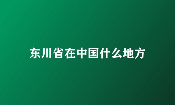 东川省在中国什么地方