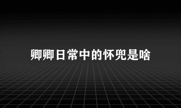 卿卿日常中的怀兜是啥