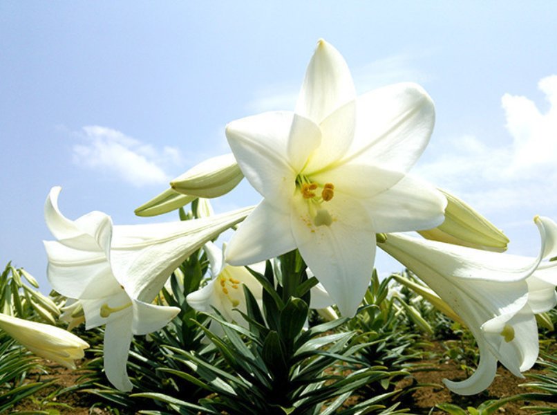 百合做运动视频教程动漫