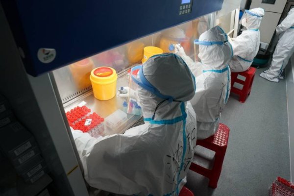 辛集初筛阳性17例，当地因此采取了哪些措施？