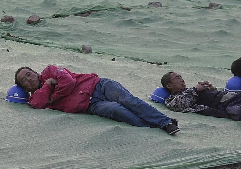 男子晒“空中阁楼”出租房，回家需要手动搭梯子！年轻人为何喜欢外出打拼？