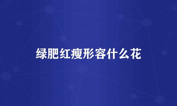 绿肥红瘦形容什么花