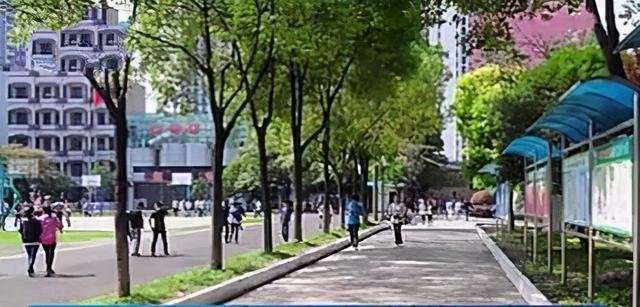 2名女高中生遭同学杀害案开庭，案件的详细情况是什么？