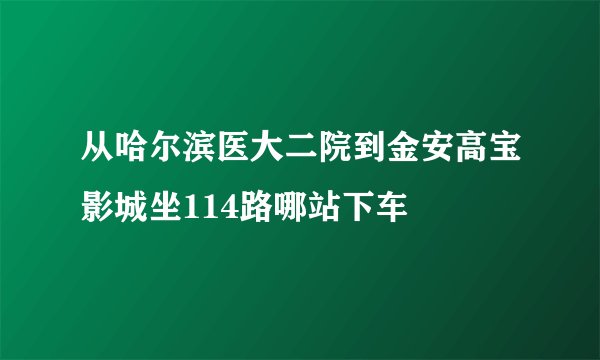 从哈尔滨医大二院到金安高宝影城坐114路哪站下车
