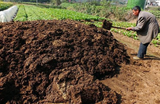 积肥是什么季节