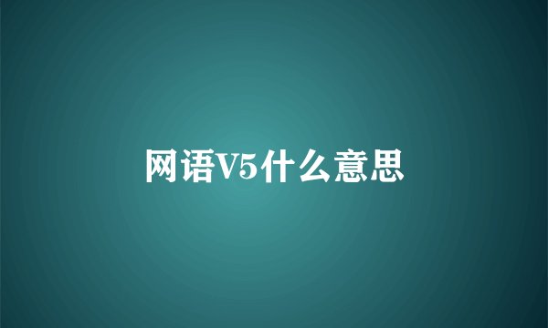 网语V5什么意思