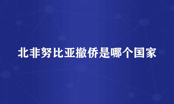 北非努比亚撤侨是哪个国家