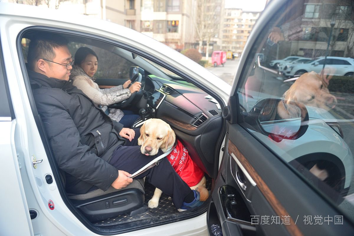 男生说你乖的意思是什么