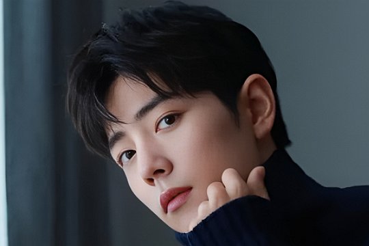 2024跨年晚会肖战参加吗