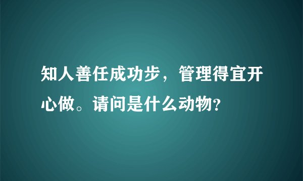 知人善任成功步，管理得宜开心做。请问是什么动物？