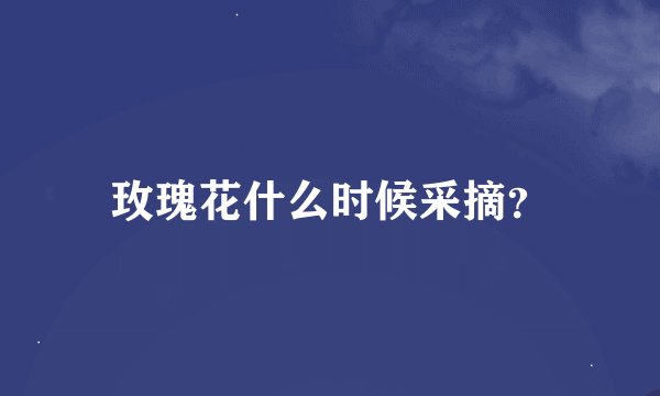 玫瑰花什么时候采摘？