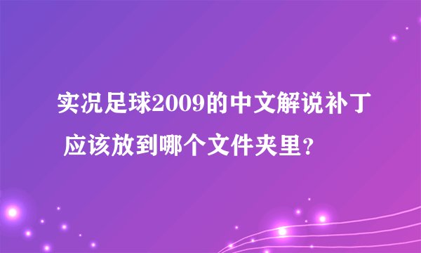 实况足球2009的中文解说补丁 应该放到哪个文件夹里？