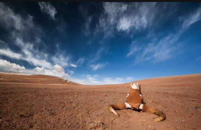 骑行新藏线,千万别到无人区废弃的厕所解手,为什么这么说?