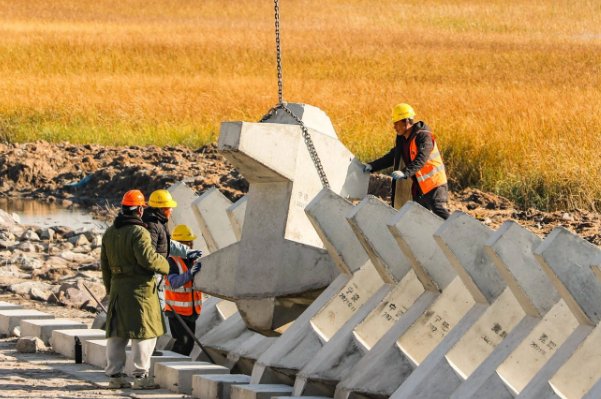 质量大堤的概念是谁提出来的答案