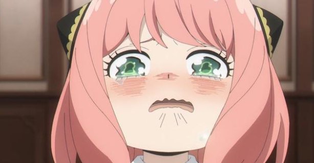 《间谍过家家》第7集喜提热搜，这一集有哪些看点？