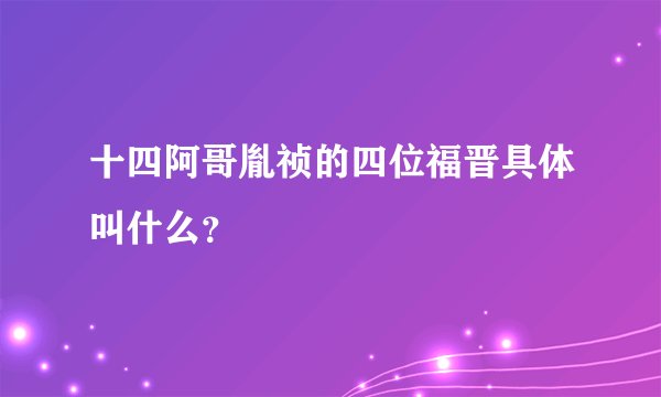 十四阿哥胤祯的四位福晋具体叫什么？